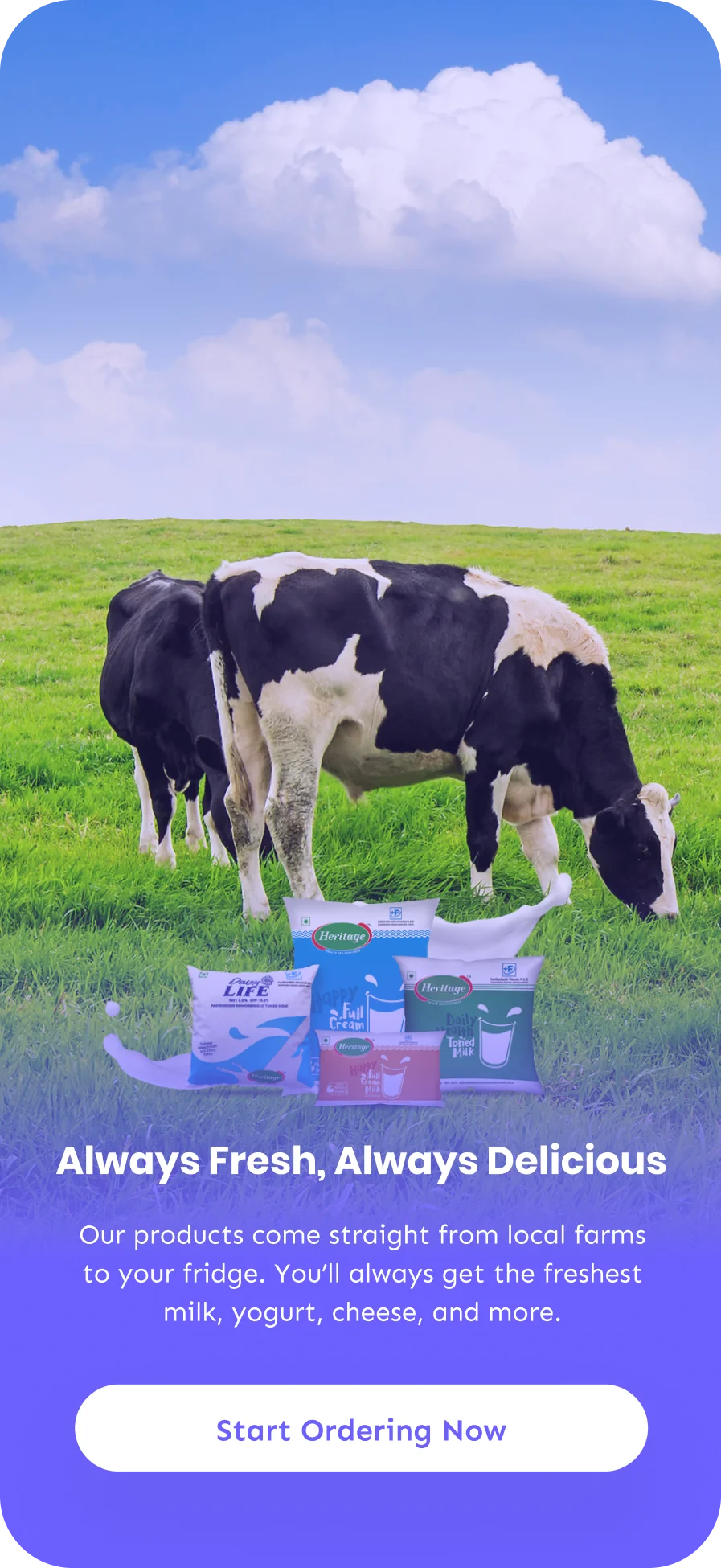 Dairy App 1